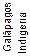 Galápagos Indígena