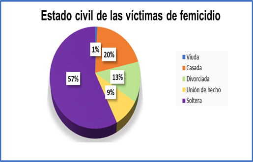 Gráfico, Gráfico circular

Descripción generada automáticamente