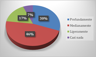 Gráfico, Gráfico circular

Descripción generada automáticamente