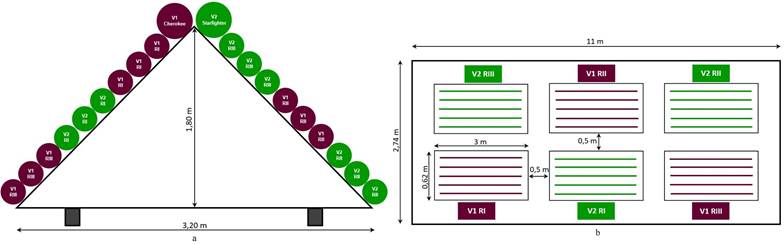 Gráfico

El contenido generado por IA puede ser incorrecto.