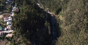 Un bosque con arboles

Descripción generada automáticamente con confianza media