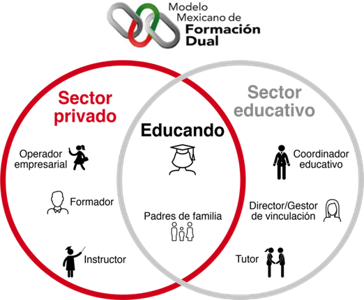 Formación dual – SwissCham