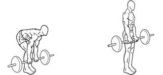 Entrenamiento piernas 4×6 (2º día) – Tryking Out
