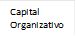 Capital Organizativo