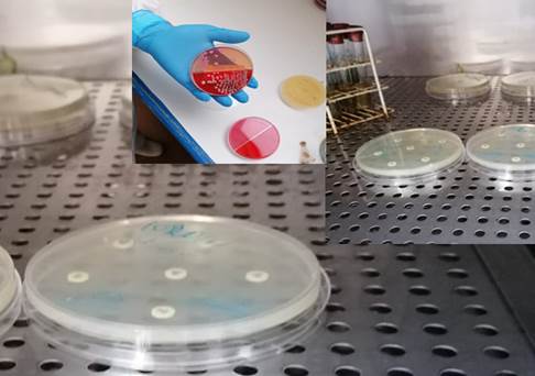 Imagen que contiene interior, tabla, utensilios de cocina, taza

Descripción generada automáticamente