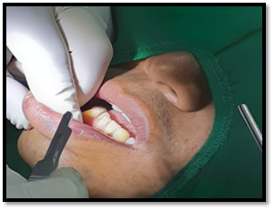 Imagen que contiene persona, verde, mujer, sostener

Descripción generada automáticamente