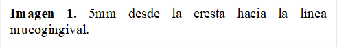 Imagen 1. 5mm desde la cresta hacia la línea mucogingival.  