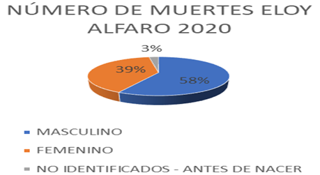 Gráfico, Gráfico circular

Descripción generada automáticamente