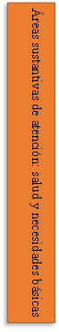 Áreas sustantivas de atención: salud y necesidades básicas