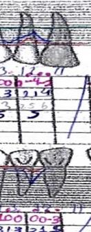 Descripción: Un dibujo de una persona

Descripción generada automáticamente con confianza baja