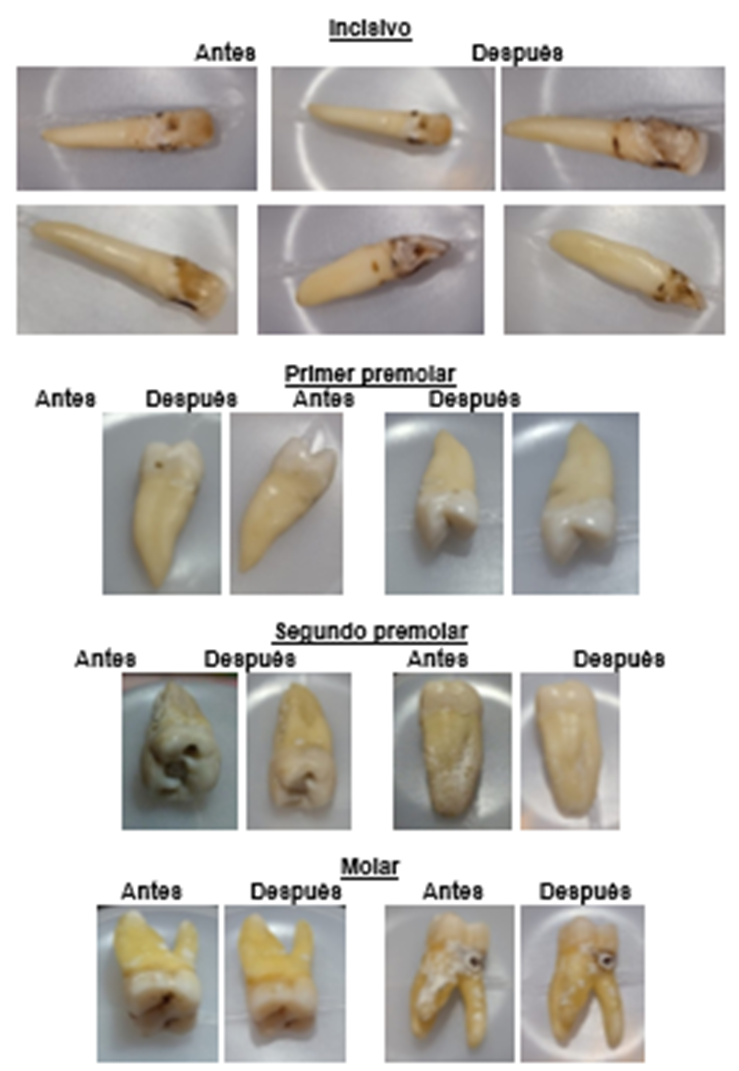 Interfaz de usuario gráfica, Aplicación, Sitio web

Descripción generada automáticamente